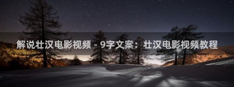 星空视频在线观看免费播放电视剧：解说壮汉电影视频 - 9字文案：壮汉电影视频教程
