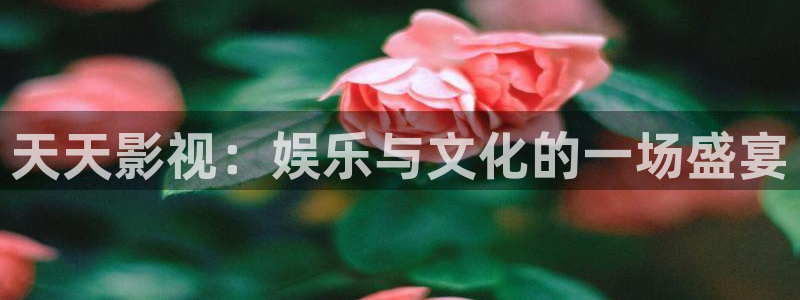 星空电影连续剧免费