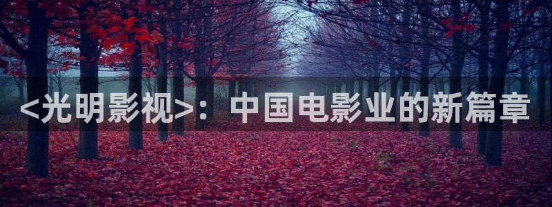 大丈夫高清免费观看星空