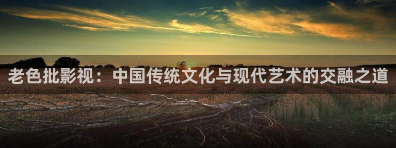 星空无限电视剧免费观看策驰影院